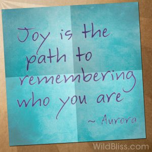 Joy is the path to remembering who you are